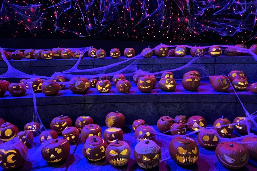 Pumpkin Display