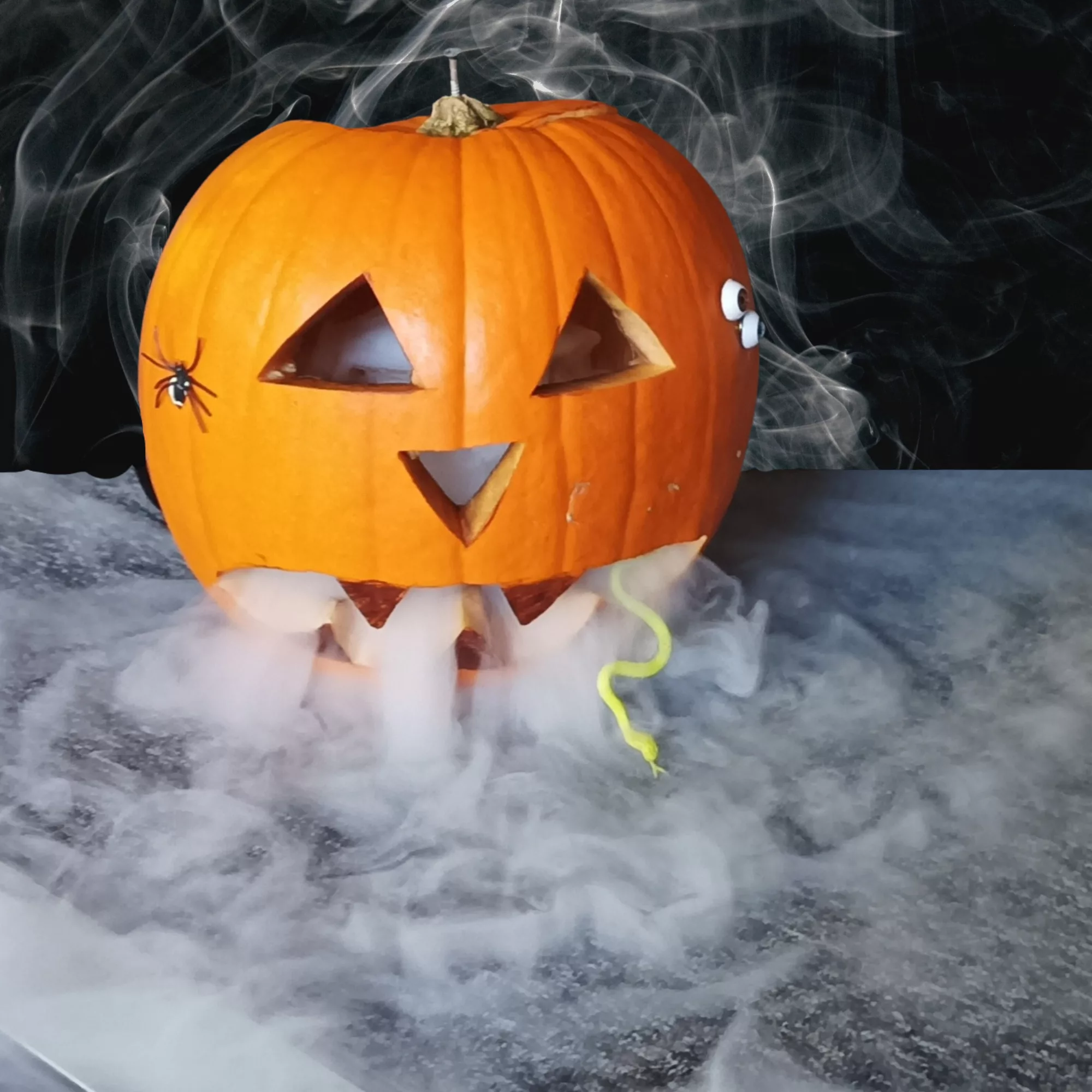 Halloween dry ice potions entertainment by Devon Science 5