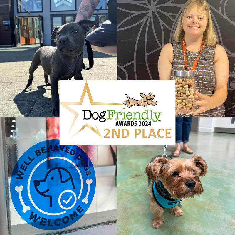 Dog friendly 2nd place collage